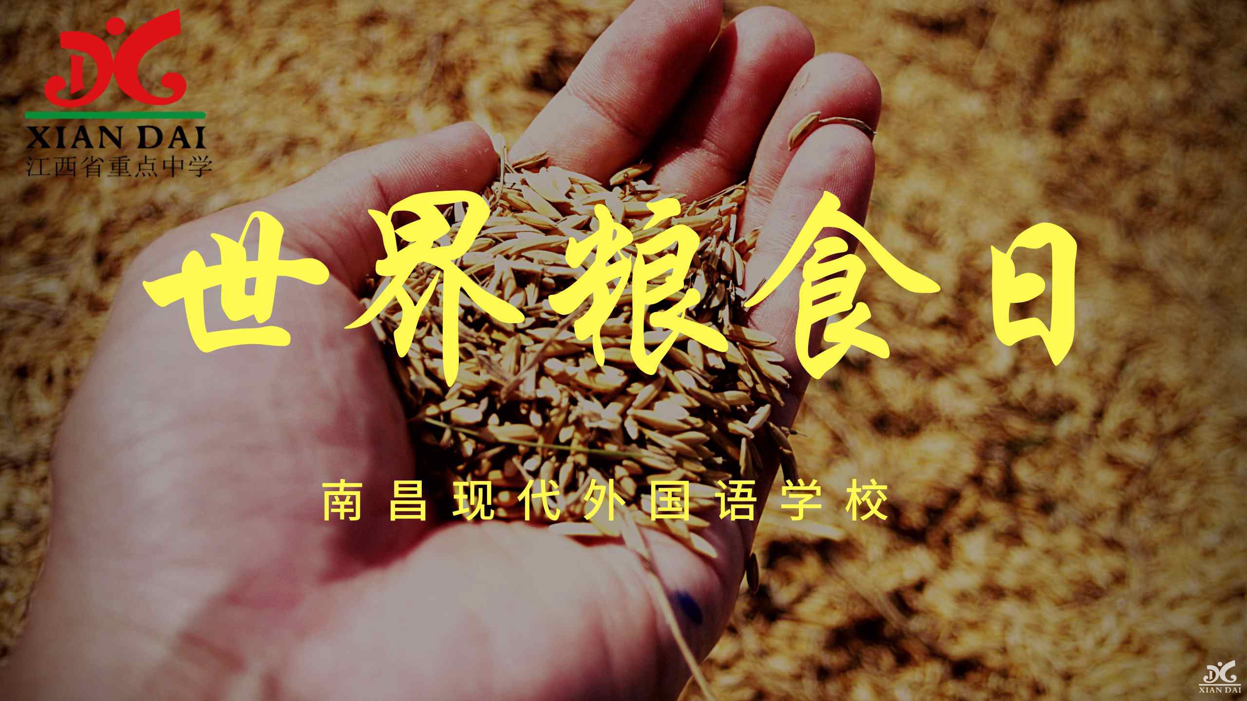 世界糧食日 | 愛糧節(jié)糧，我們在行動！